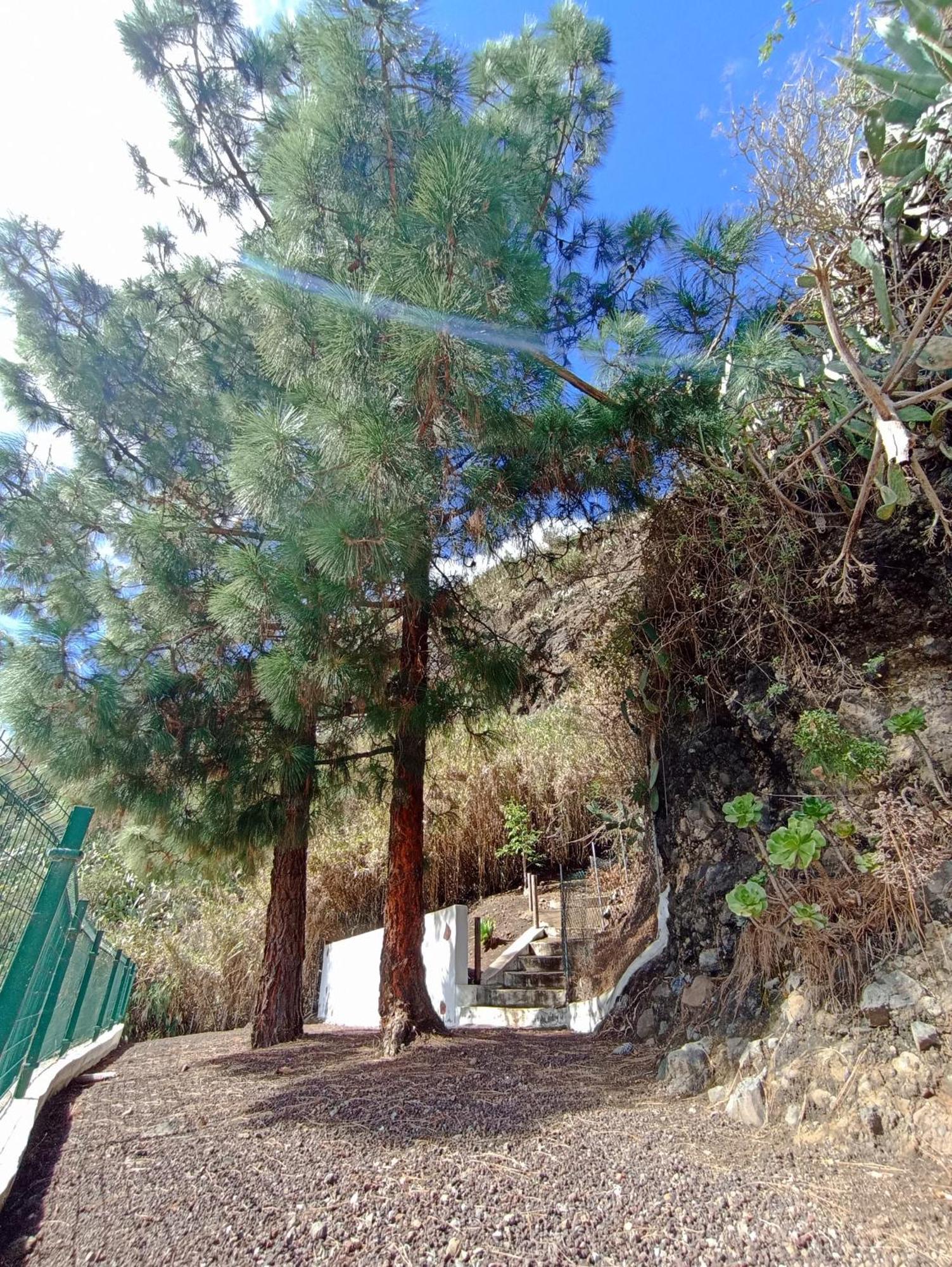 Arbejales Casa Rural La Yedra San Mateo מראה חיצוני תמונה